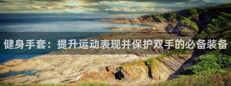 龙八国际pt