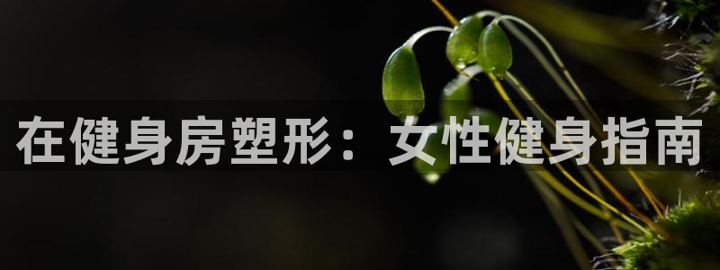 龙8国际手机版注册