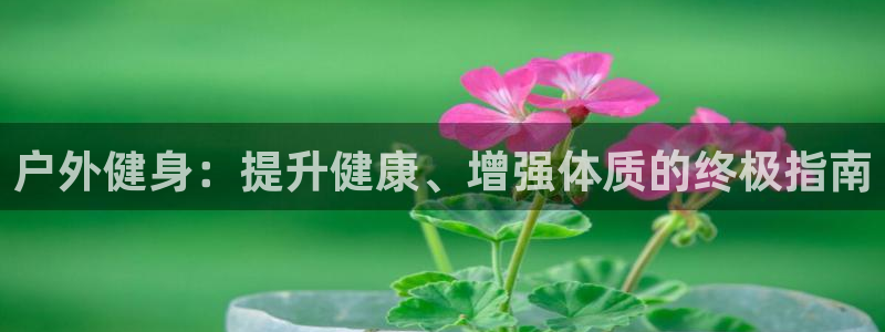 龙8游戏官方网站p