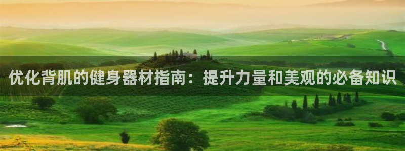 龙8国际手机版官网
