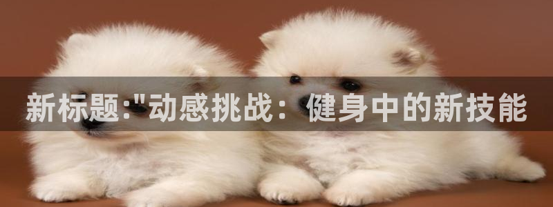 下载龙八国际官网