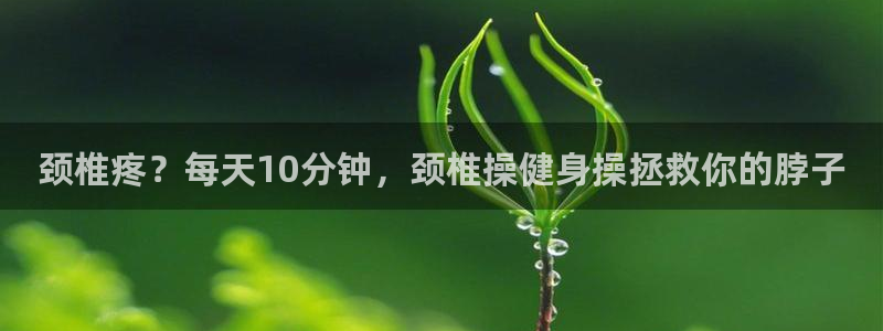龙8游戏平台的网站