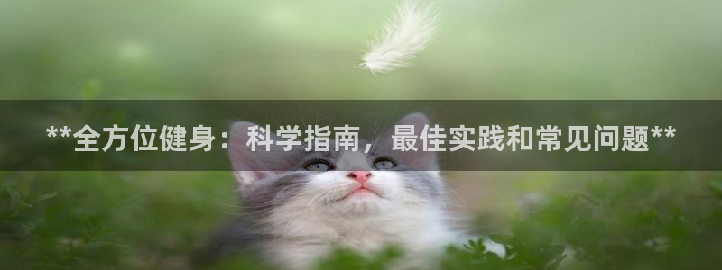 龙8国际头号玩家