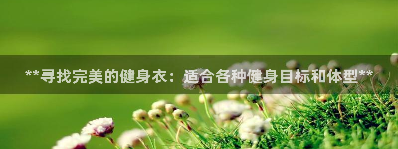 龙八国际服官网入口