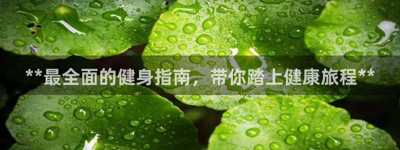 龙8国际long8龙8游戏