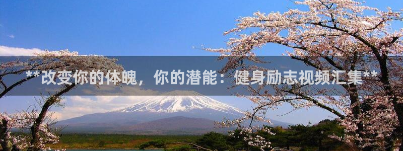 龙8国际最新官网