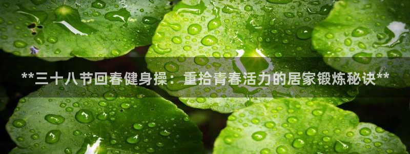 龙八国际服官网入口