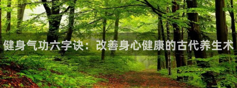 龙8国际com