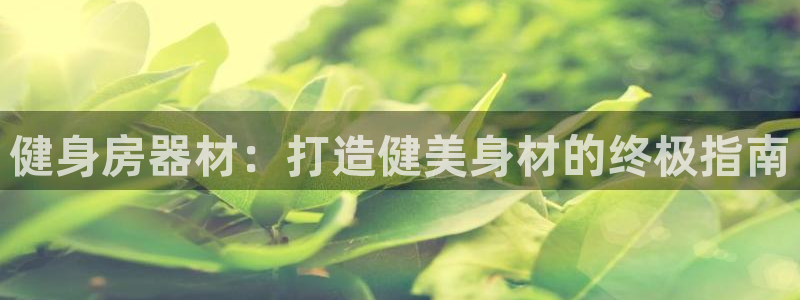 龙8国际官网进入
