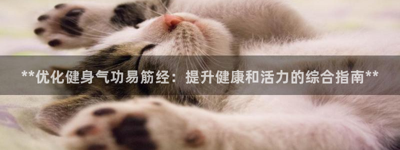 龙8国际游戏公司官网