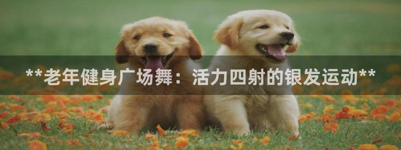 龙8国际唯一官网官方版