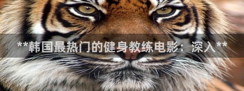 龙8国际唯一官网官方版