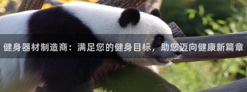 龙8国际是什么电影