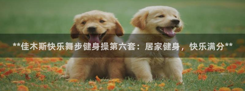 龙8国际官网手机登录