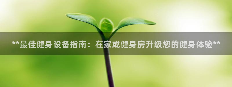 龙8国际网页版下载