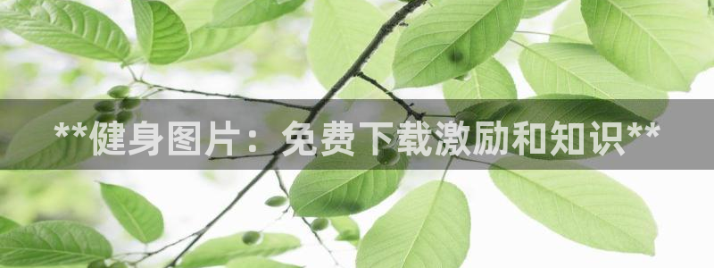 龙8游戏平台老虎机