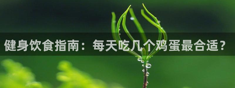 龙8国际手机游戏官网
