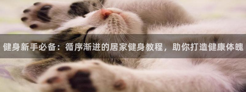 龙8国际手机游戏官网