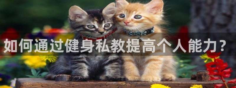 龙8国际手机网页版