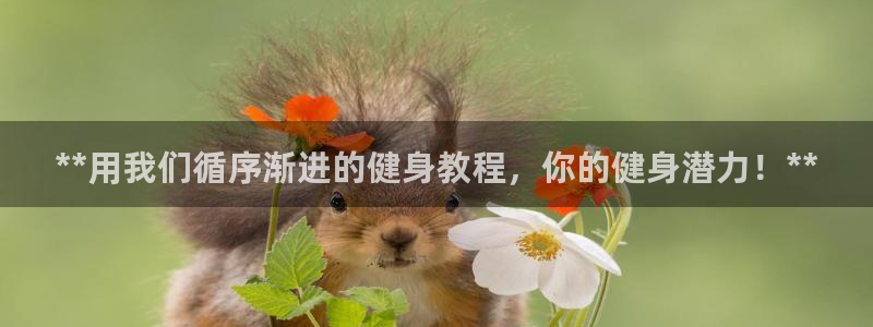 龙8国际最新官网