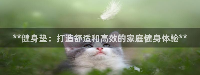 龙 八国际