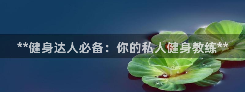 龙8国际真钱