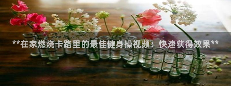 龙8国际平台