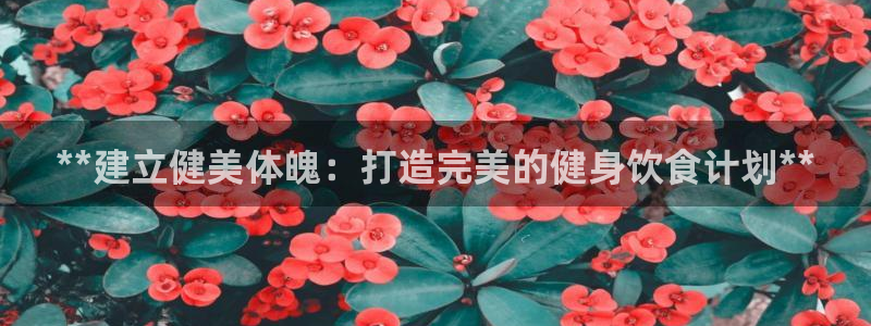 龙8国际娱首页