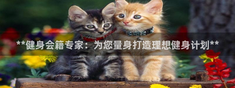 龙8官网老虎机游戏主页