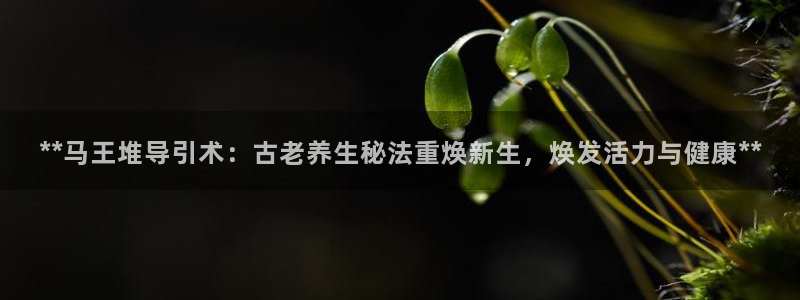 龙8官网在线试玩