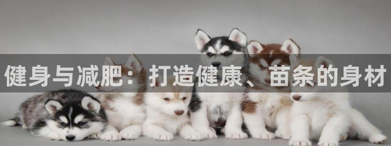 龙8国际官网首页