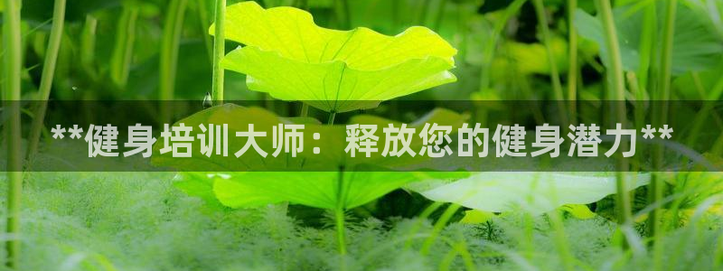 龙8国际是什么电影
