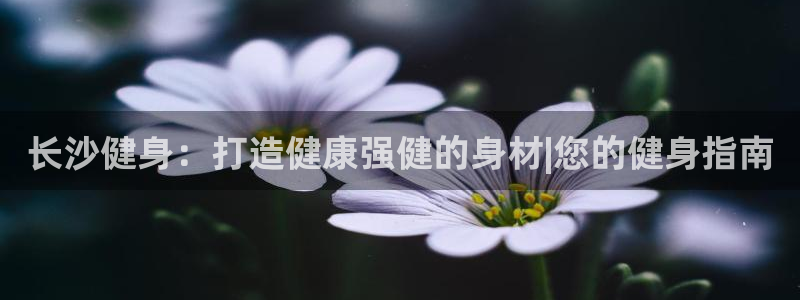 龙8国际黑钱