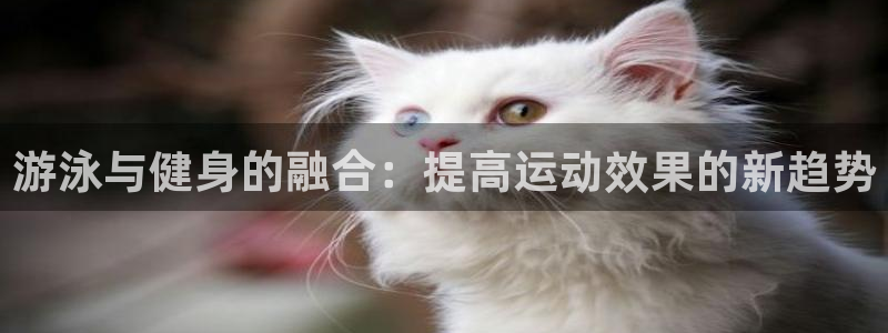 龙8国际官方网站手机版下载