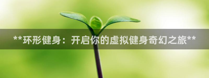 龙8国际官网官方版fxzls天地手游 -kc -安卓