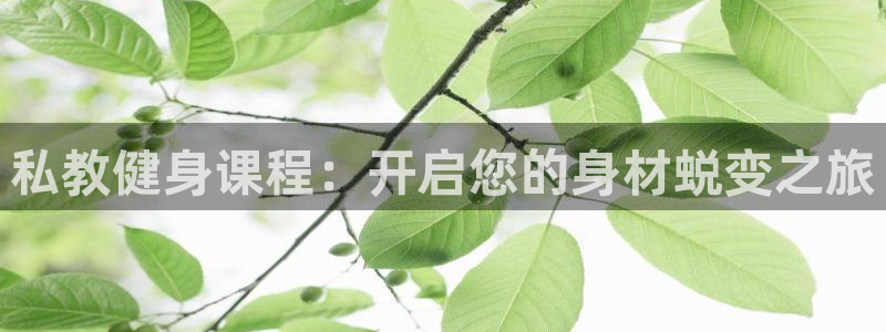龙八国际下载链接