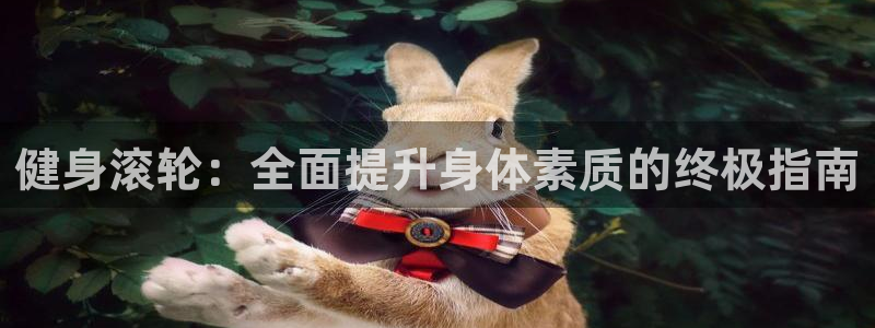 龙8国际pt网址