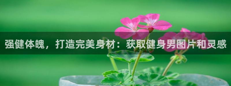 龙8国际官网版