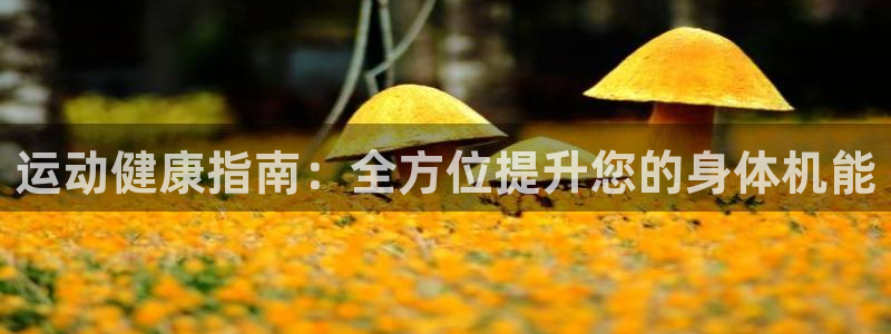 龙八国际网页