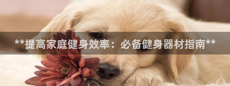 龙8国际官网唯一入口