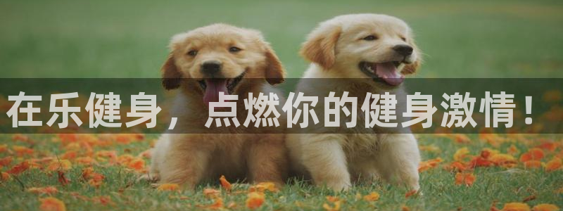 龙8游戏官网