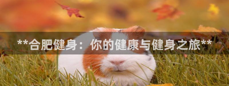 龙8国际服