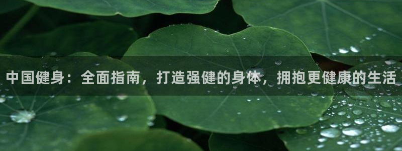 龙8国际中国官方网站