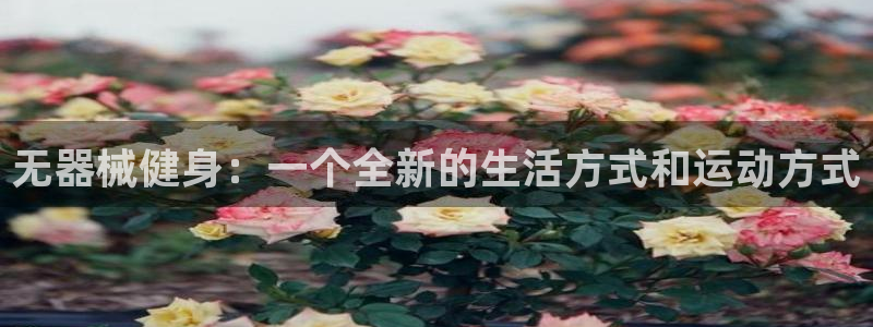 龙8国际官方网站