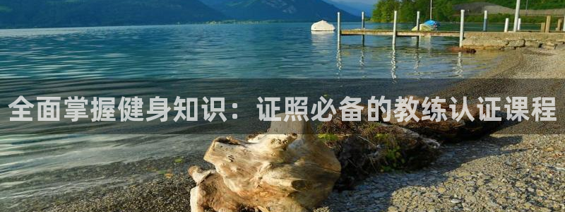 龙8游戏平台老虎机