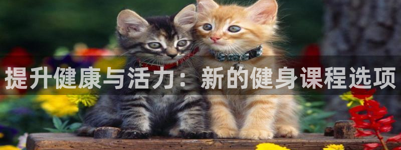 龙8娱乐官方老虎机中国大陆