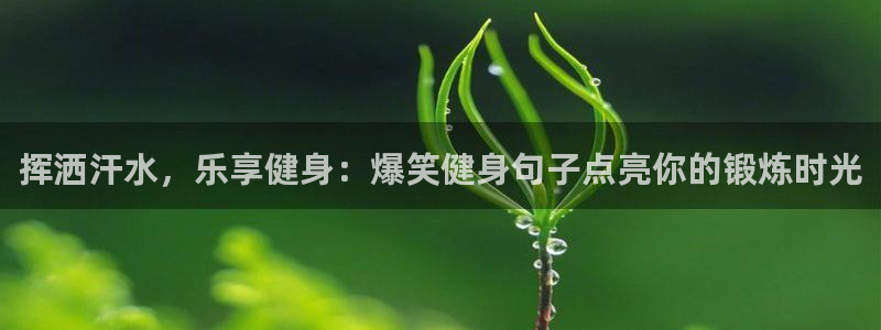 龙8国际唯一官网手游登入口