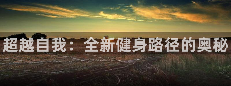 龙8国际游戏娱乐