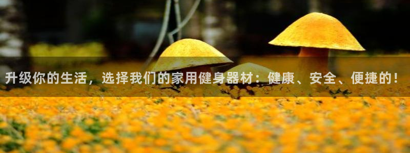 龙8国际中国官方网站
