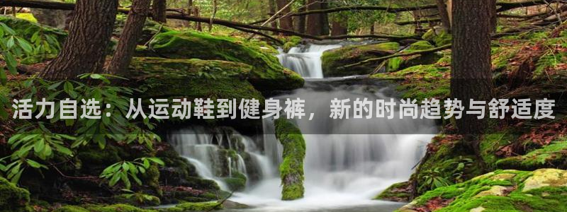 龙8国际的漏洞